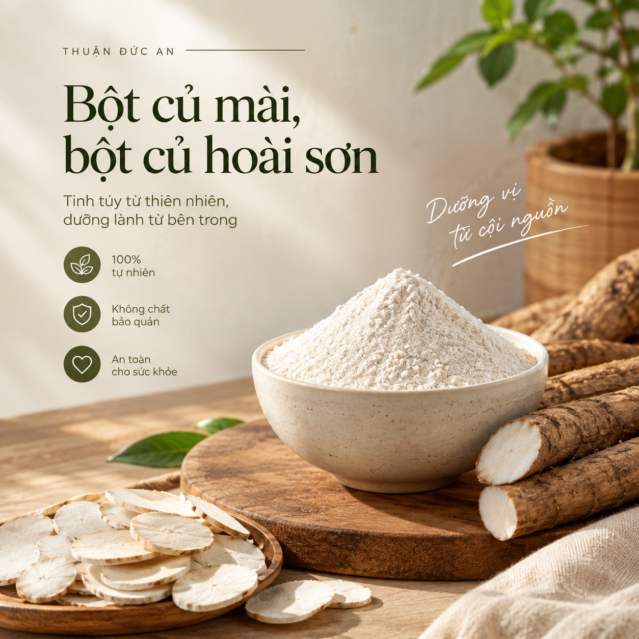 BỘT CỦ MÀI, BỘT CỦ HOÀI SƠN