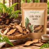 Cẩu tích khô, Cẩu tích thái lát, mua cẩu tích khô, cẩu tích dược liệu, thân rễ cẩu tích khô, kim mao cẩu tích, cẩu tích khô nguyên liệu, cu li, cù liền, đặc điểm cẩu tích khô, cách sơ chế cẩu tích, cách bảo quản cẩu tích, cách dùng cẩu tích trong y học cổ truyền